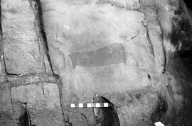 NMSA 03 4457P
