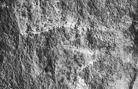 NMSA 03 220P