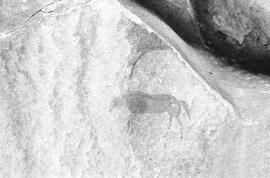 NMSA 03 366P
