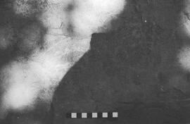 NMSA 03 2576P