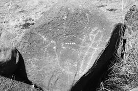 NMSA 03 7619P