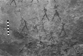 NMSA 03 5377P