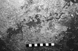 NMSA 03 3134P