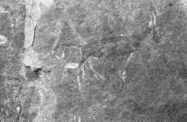 NMSA 03 238P