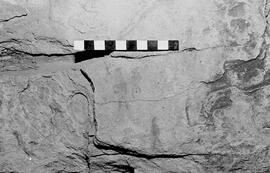 NMSA 03 6476P
