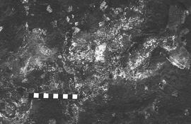 NMSA 03 2700P