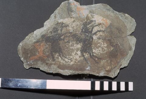 Open original Digitaal object