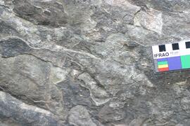 NMSA RSA PLH1 10D