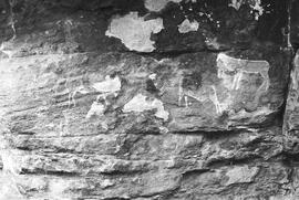 NMSA 03 217P