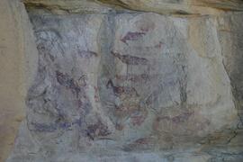 NMSA RSA MSA1 4D