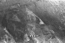 NMSA 03 1328P