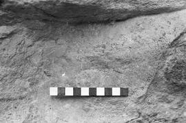 NMSA 03 1656P
