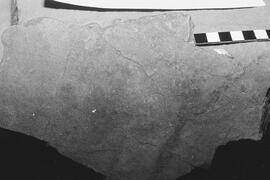 NMSA 03 8526P