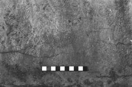 NMSA 03 2252P