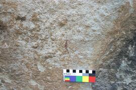 NMSA RSA KOP1 1D