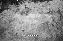 NMSA 03 6455P