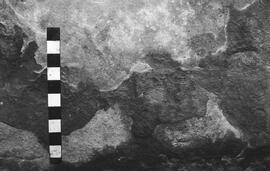 NMSA 03 4272P