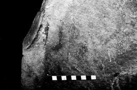 NMSA 03 3486P