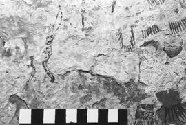 NMSA 03 1199P