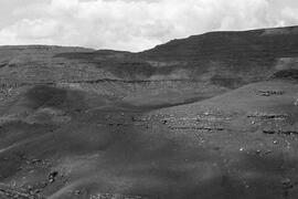 NMSA 03 6556P