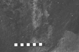 NMSA 03 2742P