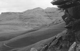 NMSA 03 6529P