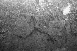 NMSA 03 8330P