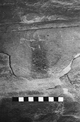 NMSA 03 5983P
