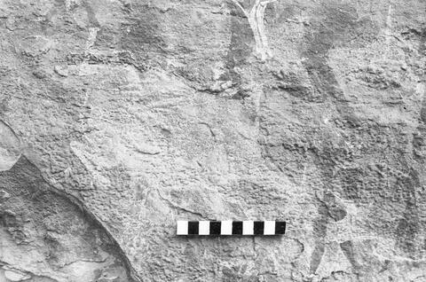 Open original Digitaal object