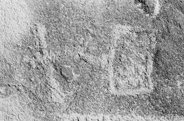 NMSA 03 7929P