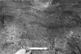 NMSA 03 405P