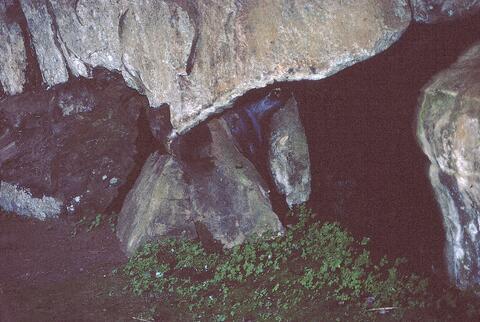 Open original Digital object