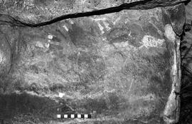 NMSA 03 4000P
