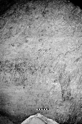 NMSA 03 3199P