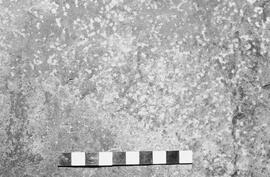 NMSA 03 1974P