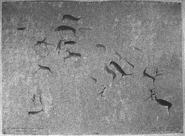 NMSA 03 108H