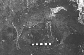 NMSA 03 2089P