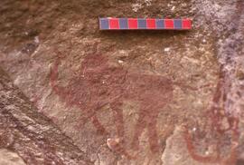 RSA SEB1 44