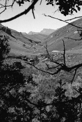 NMSA 03 8314P