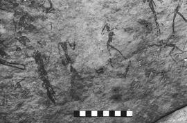 NMSA 03 4154P