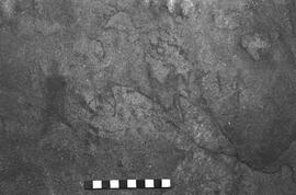 NMSA 03 6914P