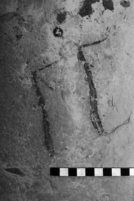 NMSA 03 3494P