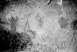 NMSA 03 5032P
