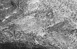 NMSA 03 556P