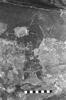 NMSA 03 6016P