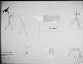 NMSA 03 8208P