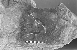 NMSA 03 7093N