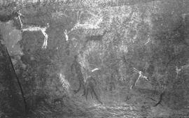 NMSA 03 977P