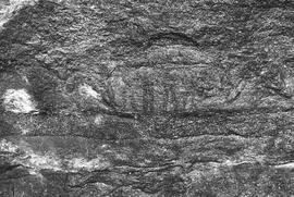 NMSA 03 212P