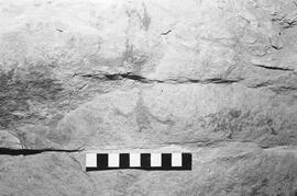 NMSA 03 1050P